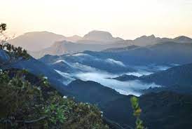 Kumbang mendapat tahi tidak, tetapi bunga menjadi didebungakan. Gunung Tahan Ketinggian Gunung Ini Warisan Melayu Pahang Facebook
