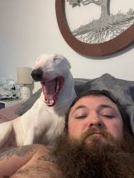 Insert witty remark here...