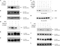 While the guys are hibernating over this holiday week, we look back on some of the most interesting topics the virtual lug covered this year. Regulatory Effects Of Mammalian Target Of Rapamycin Activated Pathways In Type I And Ii Interferon Signaling Journal Of Biological Chemistry