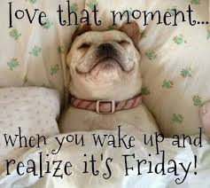 Image result for good morning it's friday
