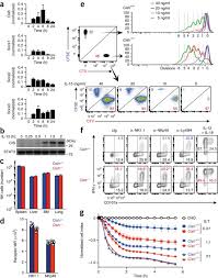 Cette concession couvre le luxembourg et la province du luxembourg belge ; Cis Is A Potent Checkpoint In Nk Cell Mediated Tumor Immunity Nature Immunology