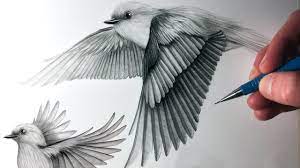 How To Draw Birds Flying - Youtube