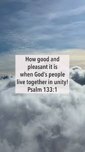 Image result for tbn:Gnv9sVSb-OxKvM::www.tyfinwallpapers.co.uk/brad4.jpg