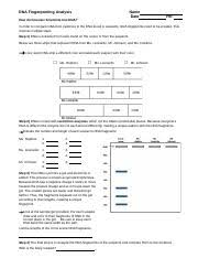 How employee recognition can boost company morale. E Bio Worksheet Dna Fingerprinting Answers 10 Images Of Dna Fingerprinting Biology Worksheet Answer