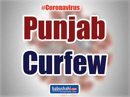 Did you use this practice before joining pet assure? Babushahi Com