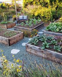 They screen out japanese beetles, potato beetles, cabbage worms, leaf miners, carrot flies and lightweight row covers are the best for insect control, letting in 90% of the light and not overheating. Using Hoops And Row Covers For Garden Pest Control Shade Frost Protection Homestead And Chill