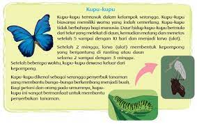 Keberagaman makhluk hidup di lingkunganku panduan kunci jawaban untuk buku tematik tema 3 sd kelas 4, subtema 2: Kunci Jawaban Tematik Kelas 4 Tema 3 Subtema 2 Halaman 48 49 50 52 Gawe Kami
