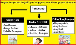 Bacaan kuldesak lantaran jerebu merupakan bacaan yang terdapat pada buku tema 2 kelas 5. Kunci Jawaban Tema 2 Kelas 5 Sd Halaman 51 53 54 55 56 Lengkap