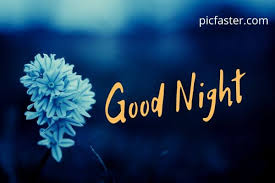 Download high quality flower pictures for your mobile, desktop or website. Top Beautiful Good Night Images With Flowers Download Whatsapp Dp Status Picfaster