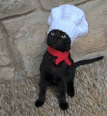 See more ideas about cat accessories, crazy cats, cat diy. Pin On Handmade