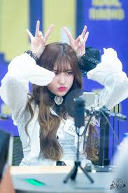 Idol Radio 190403 C Yellow Rose Everglow Aisha Kpop Girl Groups Aisha Yuehua Entertainment