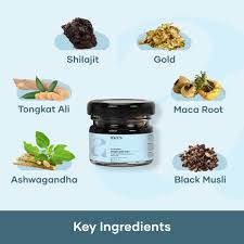 Image result for Shilajit