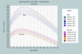 What Is A Normal Peak Flow My Lungs My Life