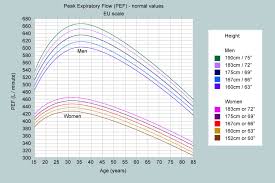 what is a normal peak flow my lungs my life