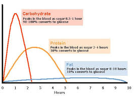 food conversion to blood glucose blood glucose levels