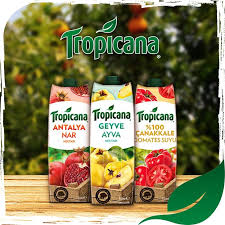 Tropicana Nin Turkiye De Urunleri Arasinda Bursa Seftali Nektari Afyon Visne Nektari Malatya Kayisi Nektari Anadolu Karisik Meyve Nek Visneler Seftali Meyve