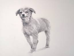 Emojis are everywhere, from text messages and emails to pillows and pool floats. How To Draw A Dog Easy Step By Step Video Tutorial