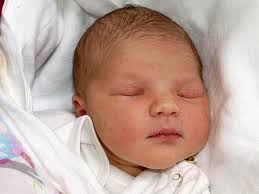 FOTO/ANKETA: Právě jsme se narodili