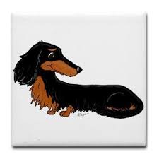 Black And Brown Dachshund Long Hair Black And Tan Long Haired Dachshund Long Haired Black And Tan Dachshund Gifts Cartoon Animal T Shirts Black And Tan Dachshund Dachshund Breed Dachshund