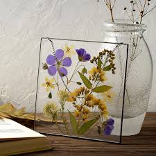 We did not find results for: Real Pressed Lobelia Flower Necklace Dried Irish Flowers In Floral Necklace Gift For Mother Gift For Gardener Jewelry Necklaces Valresa Com