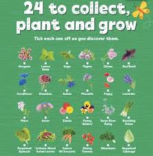 With every $30 spent* in stores at woolworths, customers. Discovery Garden Hack I Just Scored 14 Seed Kits For Only 30 Mouths Of Mums