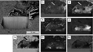 Image result for alloy edx micrograph