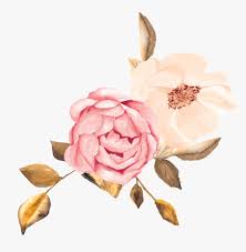 Free for commercial use no attribution required high quality images. 2 A Copy Rose Gold Flowers Clipart Hd Png Download Transparent Png Image Pngitem