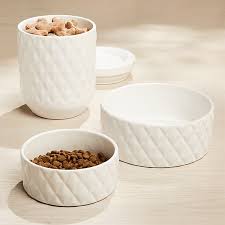 Harlequin Small Dog Bowl Reviews Crate And Barrel Canada In 2020 Large Dog Bowls Dog Bowls Cute Dog Bowls
