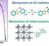 UV light absorbers executing synergistic effects of ...