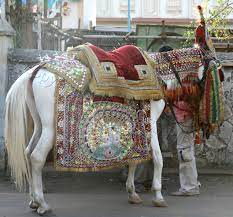 White Indian Wedding Horse Beautifully Decorated In Traditional Indian Wedding Style Jaipur India Copyright Timeless Pie Unusual Horse Toy Horse Horse Gear