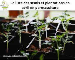 Rustica vous propose son calendrier de jardinage pour ne rien oublier ! Quoi Semer Et Planter Au Mois D Avril En Permaculture