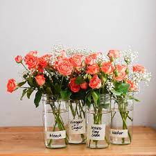 We did not find results for: How To Make Flowers Last Longer Popsugar Smart Living