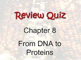 Used bacteriophage to find if genetic material is made of dna or protein. Unit 8 Chapter 8 From Dna To