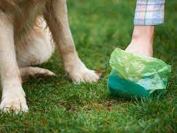If you'd like to know more information on exactly how to start this b. The Pros And Cons Of Starting A Pooper Scooper Business