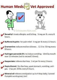 I Have Used Some Of These These Multiple Times On My Dog Saves A Lot Of Money Not Running To The Vet Every Time I Would Like To A Meds For