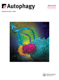 Christian bates, university of manchester: Full Article Lap Like Non Canonical Autophagy And Evolution Of Endocytic Vacuoles In Pancreatic Acinar Cells