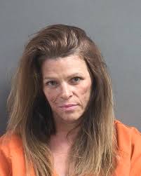 NAME: HARRISON HEATHER DEARING F W AGE: 49 Booking Date: 04/15/2025  Charges: DRIVING W/LICENSE CANCELED SUSPENDED/REVOKED Bond: $500.00 📷  SOURCE: VOLUSIA COUNTY CORRECTIONS Notice: “This content is released in the  Public Domain