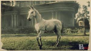 People, horses and the arabian nights. White Arabian Horse Rdr2 Red Dead Online Horses Database Stats Locations