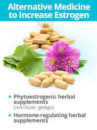 Increasing Estrogen Levels | Shecares