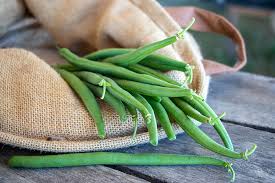 The three main bean groups are snap or string (eaten pod and all), green bean seeds (intended to be eaten young) and dry bean seeds (meant to be eaten after the seeds. Jade Ii Bush Green Beans Products Vegetables Rupp Seeds