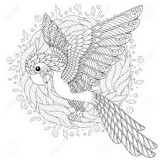 Enjoy tropical birds coloring pages. Parrot Tropical Bird Vector Illustration Coloring Book For Royalty Free Cliparts Vectors And Stock Illustration Image 105402977