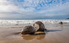 Rising two metres and weighing several tones, the moeraki boulders are a sacred landmark for the maori people. The Moeraki Boulders And Other Rocks Finding The Universe