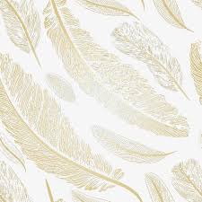 ريشة Feather Clip Art Background Images