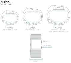 What Are The Fitbit Sizes And Which One Will Fit You Best