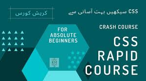 Css Crash Course For Absolute Beginners Css Rapid Course Crash Course Absolute Beginners Beginners