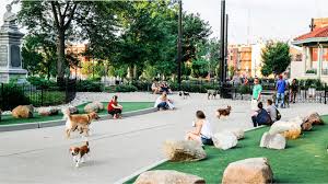 Stray animal adoption program (saap). Mutt Madness At Washington Park Welcomes Spring With A Dog Party And Pet Adoption Event
