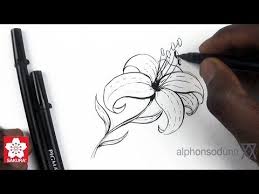 How To Draw A Lily Featuring Alphonso Dunn Beautiful Flower Drawings Flower Drawing For Kids Drawings