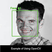 Halfway check-in with Lynne Yun. I discovered SFPC while looking for…