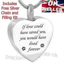 Buy the best and latest pet ashes on banggood.com offer the quality pet ashes on sale with worldwide free shipping. Dog Cat Cremation Ashes Necklace Keepsake Memorial Jewellery Pet Urn Pendant Ebay
