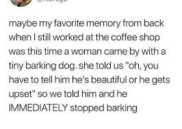 Wholesome Animal Memes Are The Definition Of Happiness 17 Memes In 2020 Funny Quotes For Instagram Positive Memes Definition Of Happiness